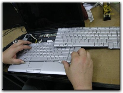 Ремонт клавиатуры на ноутбуке Toshiba в Новокузнецке